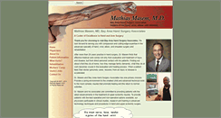 Desktop Screenshot of bayareahand.com